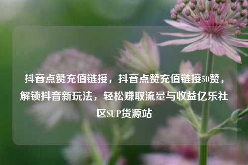 抖音点赞充值链接	，抖音点赞充值链接50赞，解锁抖音新玩法，轻松赚取流量与收益亿乐社区SUP货源站  第1张